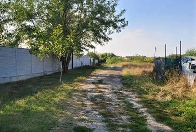 Bragadiru, Ilfov - 1