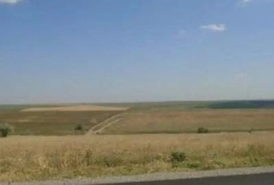 Teren de 9000 mp, în Schela - 1