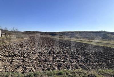 Teren intravilan 5.800 mp, poten?ial de parcelare-construc? - 3