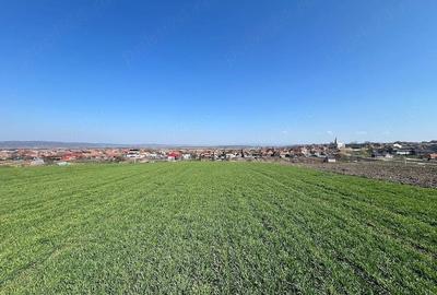 Teren de 5375 mp, în Cheriu - 5