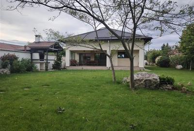 OCAZIE UNICA!!! Vila de lux, intr-o zona linistita, la 20 minute de Ploiesti - 10