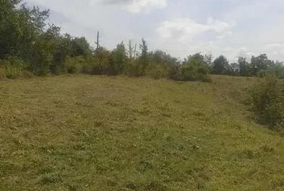Teren de 2000 mp, în Ceptura - 1