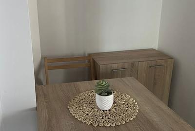 Apartament cu 2 camere în Preajba Mare - 7