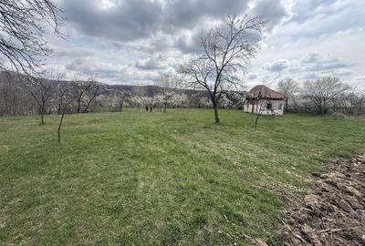 Spațiu comercial, în Vlădești - 1