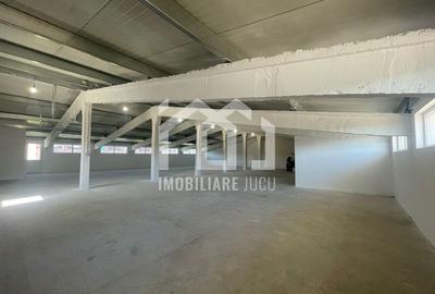 De închiriat: Hală de depozitare și producție în Jucu de Mijloc De închiriat: Hală de depozitare și producție în Jucu de Mijloc - 8