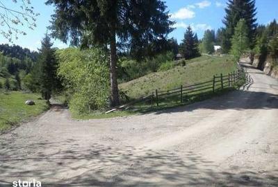 Teren de 3000 mp, în Dorna-Arini - 5