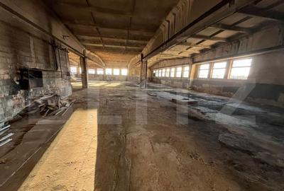 Hala industriala 800 mp, curte ?i parcare proprie, acces - 6