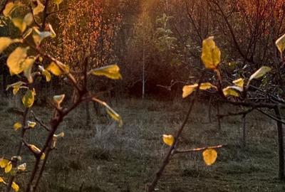 Spațiu comercial, în Horezu - 3