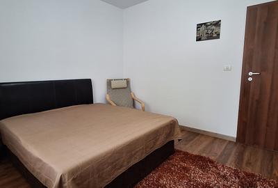 Apartament cu 3 camere decomandat, mobilat în Torontalului - 6