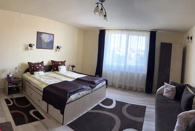 Casă cu 2 camere cu Teren 1640 Mp în Central - 8