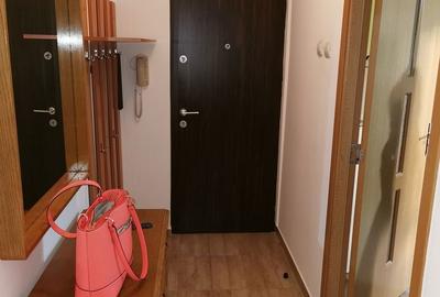 Apartament cu 2 camere decomandat în Obcini - 10