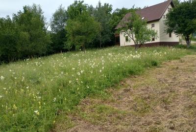 Teren intravilan Drajna 4062mp - 8