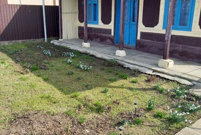 Casă cu 3 camere în Tufești - 8