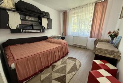 Miron Costin - zona Zimbru - apartament teren proprietate - 11