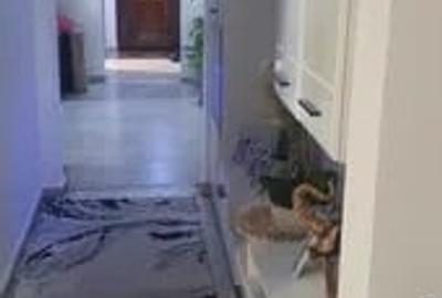 Apartament cu 3 camere, etajul 1/4, zona Dacia - 3