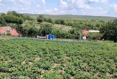 Casă cu 2 camere în Viișoara - 7