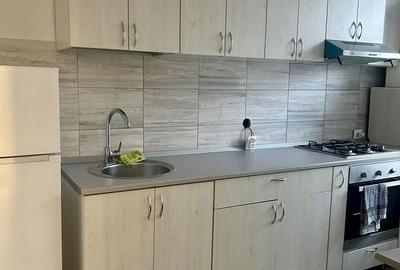 Garsonieră, mobilată în Valea Ialomiței - 7