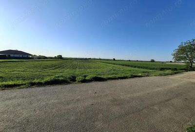 Teren de 3800 mp, în Dârza