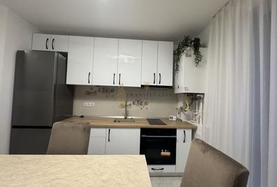 Apartament 2 dormitoare, zona Doamna Stanca-Kaufland - 2
