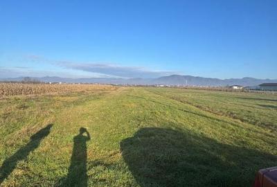 Spațiu comercial, în Mocira - 2