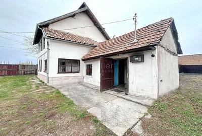 Curte Generoasa Zona Linistita - 3