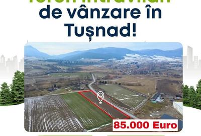 Teren de 4100 mp, în Tușnad - 9