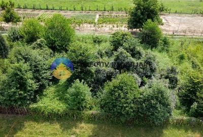 Teren intravilan com. Alexandru cel Bun- Viisoara - 9