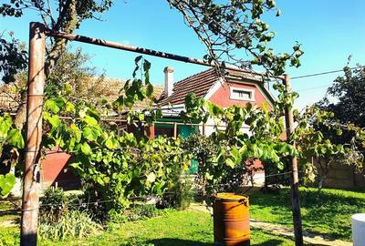 Casa cu teren mare in Cefa cu triplu front stradal - 5