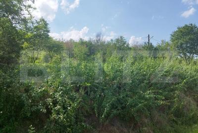Teren de 3600 mp, în Central - 3