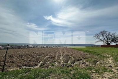 Teren De Vanzare I Patrauti Suceava I Pret: 15EUR /mp - 2