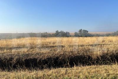 Teren intravilan, 2.500 mp, sat Sarbatoarea - 1