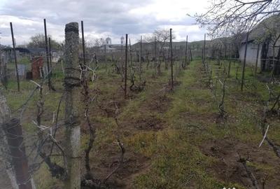 Casă cu 3 camere în Balabancea - 7