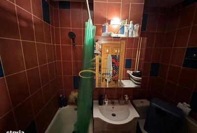 Apartament cu 2 camere, mobilat în Bistrița Lac - 8