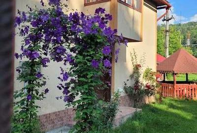 Casă cu 4 camere în Central - 1