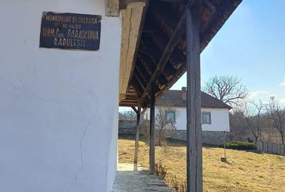 Teren de 4944 mp, în Dobra - 5