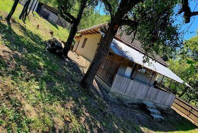 Casă cu 1 camere cu Teren 15000 Mp în Central - 5