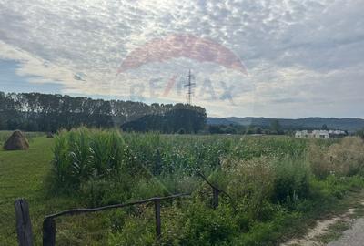 Teren de vanzare - Valea Bradului, oportunitate de investitie! - 1