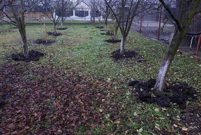 Teren de 3600 mp, în Sasca Mică - 2