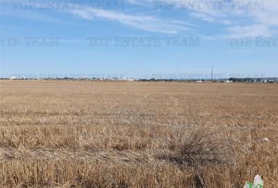 Teren de 5000 mp, în Agigea - 3