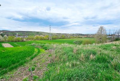 Teren Construcții intravilan de 3550 mp, în Exterior Nord - 2