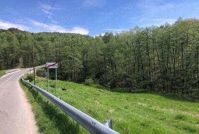 Teren Zona Turistica Transalpina - Pestera Muierilor 9.746 mp - 5