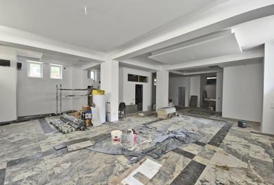 Vila complet refacuta, 250 mp curte ,  Aviatorilor - 10