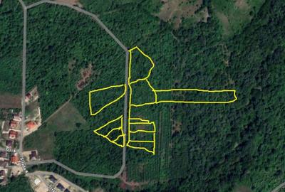 Teren de vanzare - 1