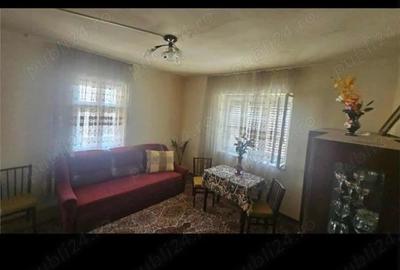 Casă cu 3 camere cu Teren 7000 Mp în Ighiu - 1