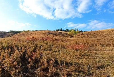 Teren de 21000 mp, în Jugureni - 7