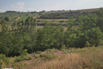 Spațiu comercial, în Ciugud - 3