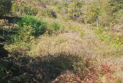 Apartament cu 3 camere decomandat în Cetate - 2