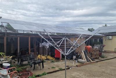 Pensiune Silistea Snagovului - 5