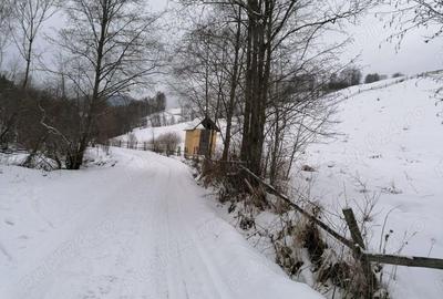 Teren 12.066 mp intravilan de vanzare in Bucovina Comuna Breaza Zona Breaza De sus - 4
