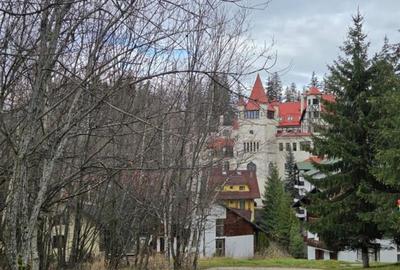 Casă individuală cu 10 camere cu Canalizare în Poiana Brașov - 1